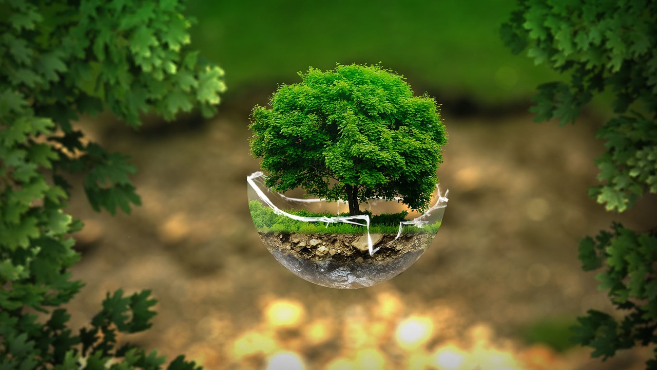 environment, ecology, nature